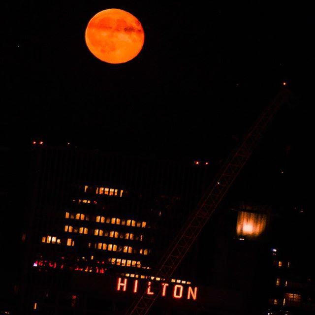 jadybates's tweet photo. Blood Orange Moon Tonight! 🧡🧡🧡🌚 #portland #bloodorangemoon #tonight #pdx #moon #laluna #moonovercity #portlandoregon #pacificnw #urbannights #timbersgame #citylights #citynights #citynightlights #saturdaynight #instanight #instamoon #instanow #instam… https://t.co/er8PsMXniP https://t.co/4wznueNJqB