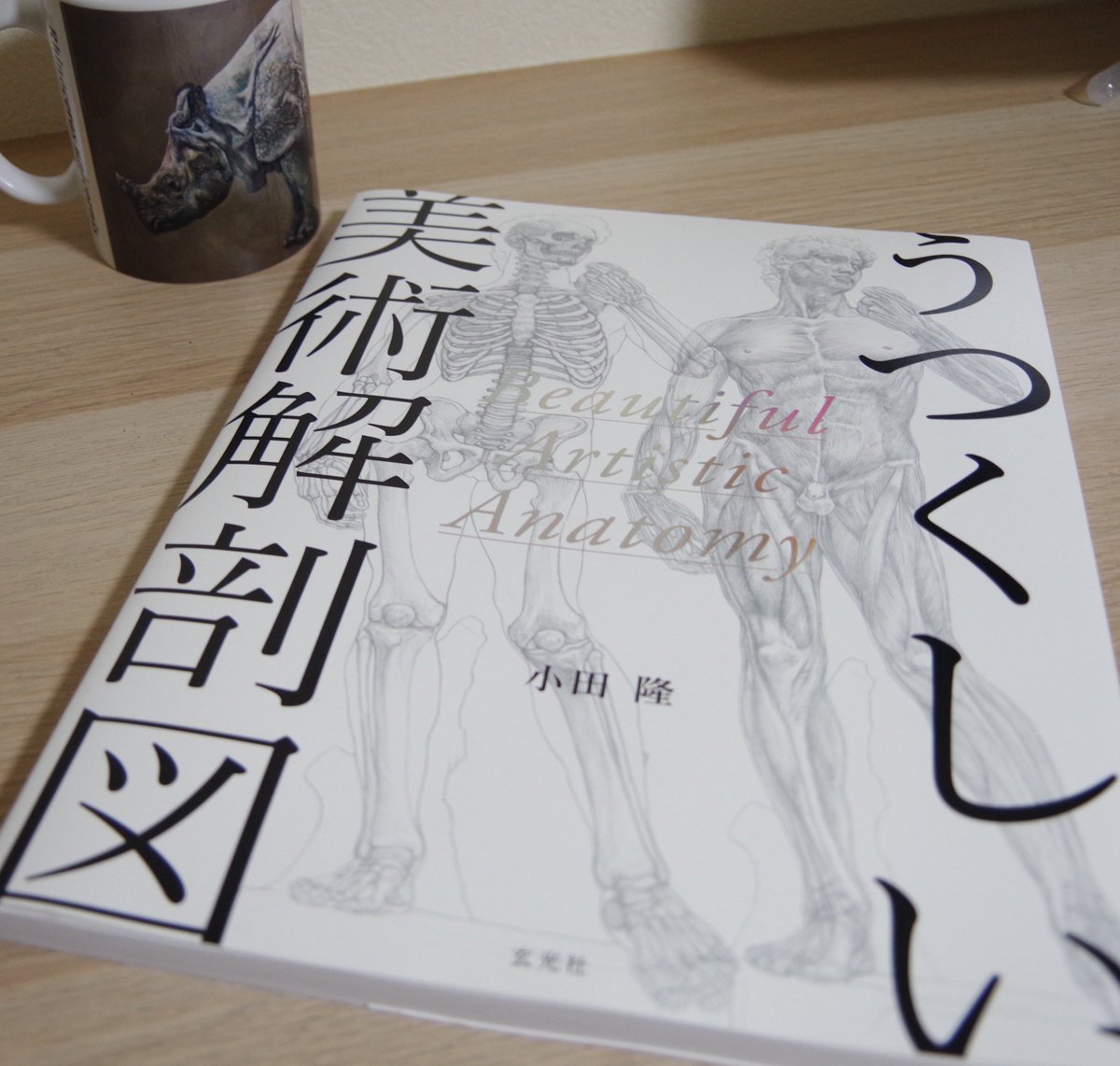 学習用というより飾って時々パラパラ見ながら「ヘェ〜」とか「ほぇ〜」って気軽に楽しめる本が届きました。小田隆さん@studiocorvo の「うつくしい美術解剖学」良い印刷なので細部まで見て楽しめます。アマゾンで発売中→… 