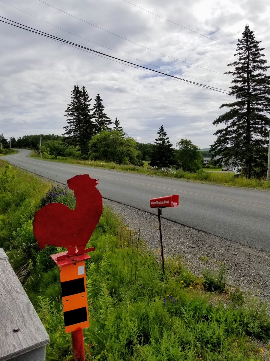 trionthemira's tweet photo. @ware_melanie Check out this special guy along the bike course. #rockthecock #triroost https://t.co/n0u0mnPnJL