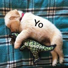 SpiderDrian's tweet photo. @Jesicalaska aawwwww 😍🥰......yo desde aqui amor😘😘♥️♥️ https://t.co/zatSZ5xEfB