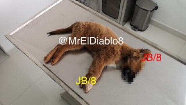 SOSJOVANA's tweet photo. Herlinda Morton se atrevió a llamar a Jovana y le dijo q gracias a todo lo q ella está haciendo, refiriéndose a la denuncia y a q se haga viral el hecho y la acusó de q por su culpa este enfermo está deprimido y no quiere salir de su habitación, las amenazas de la mujer no cesan https://t.co/D8pJuJwEmu