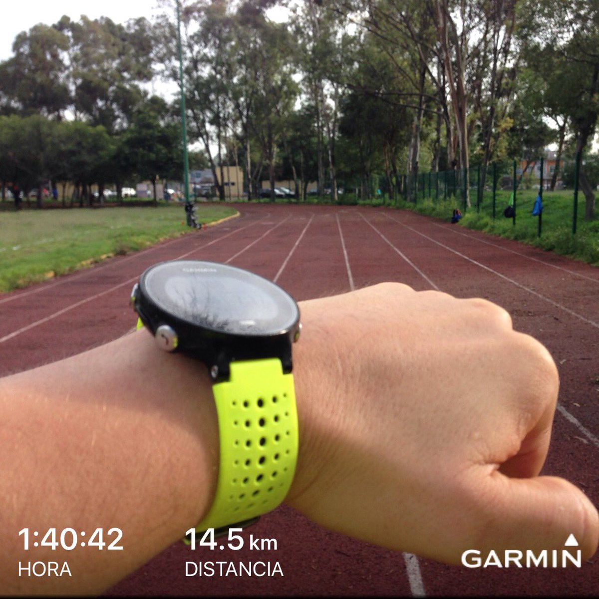 #MiVicioEsCorrer 
<a href="/garminconnect/">Garmin Connect</a> 
#NiQuienSeRaje 
#ElegiCorrer