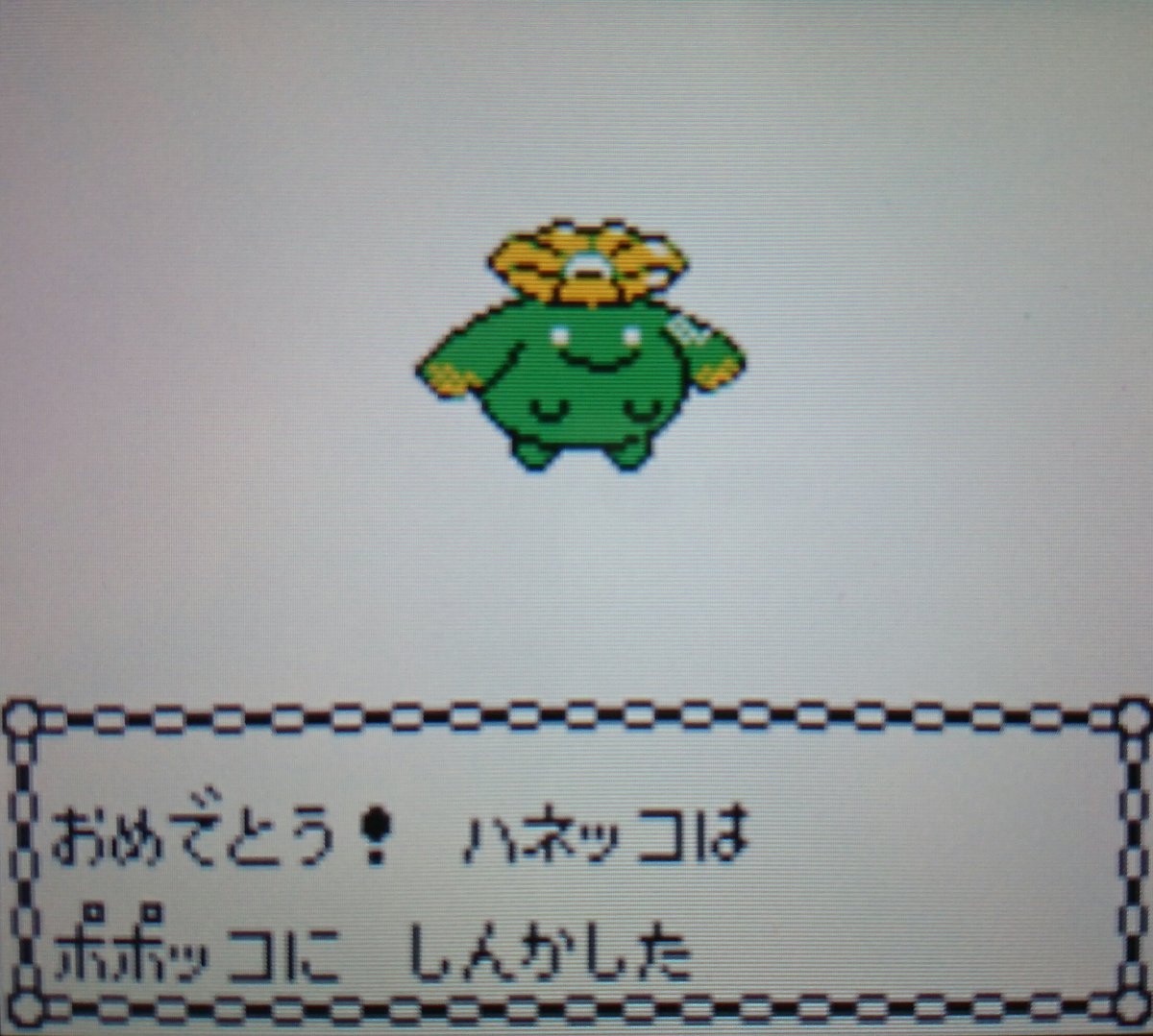 ソルテ Sur Twitter ポポッコとワタッコ 可愛い つかまえたかず 226 251 ポケモンクリスタル ポポッコ ワタッコ