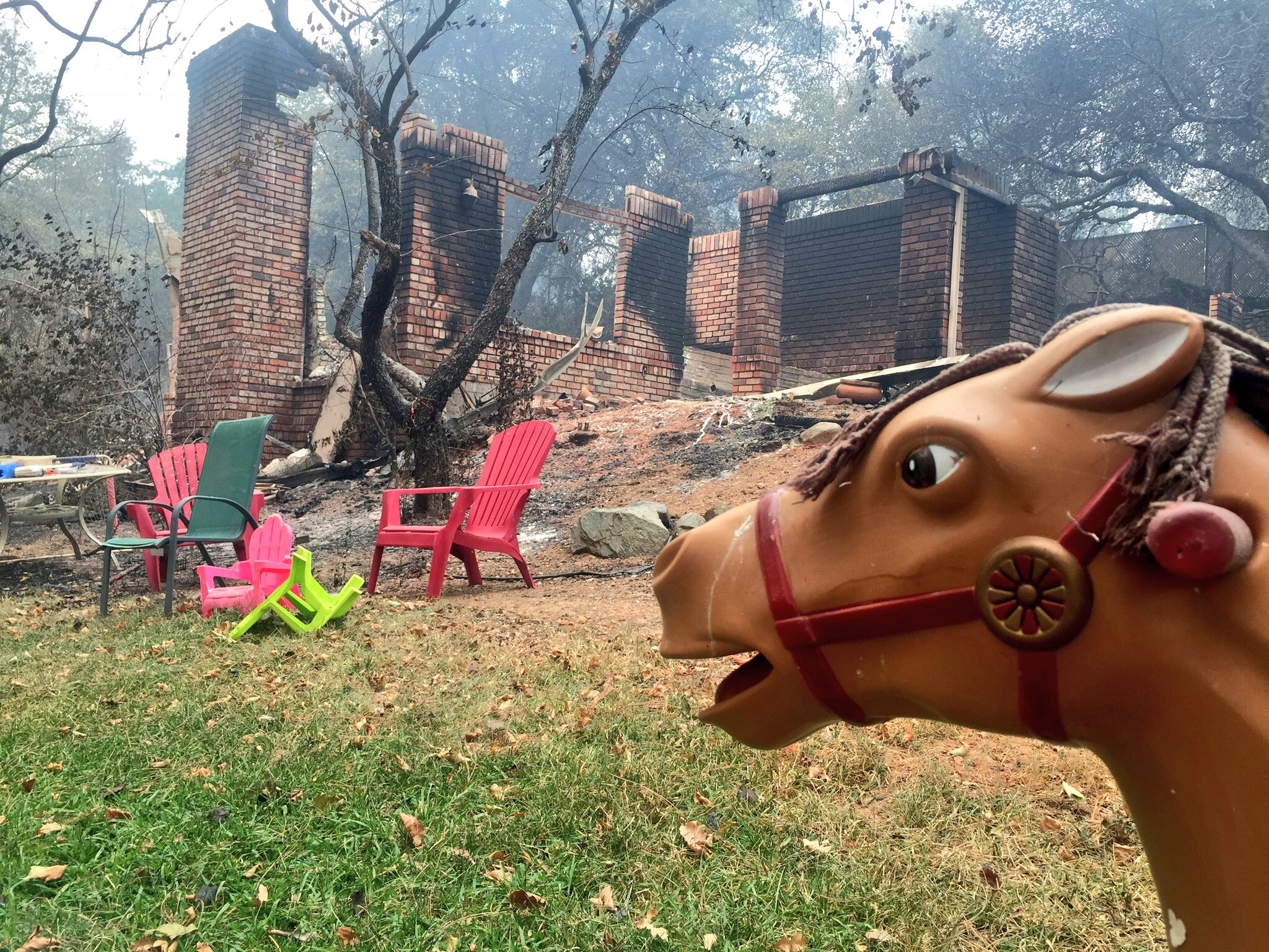 View image on Twitter