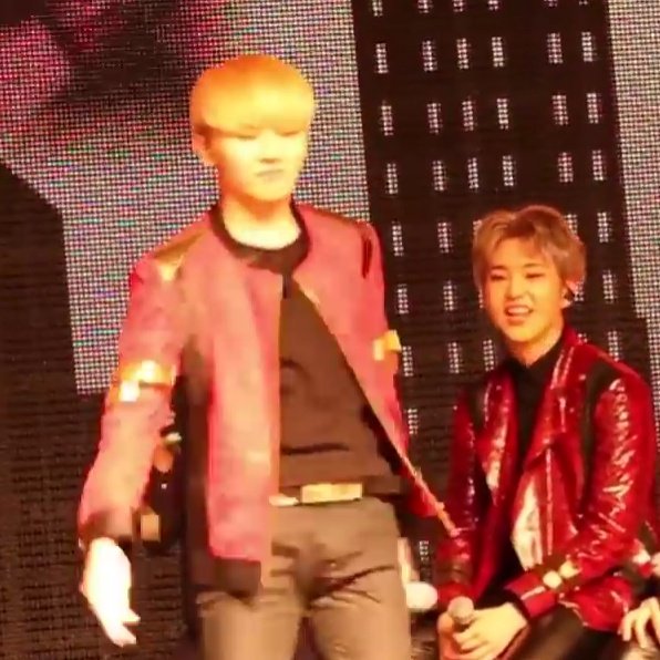 He can't stop smiling looking at jihoon 