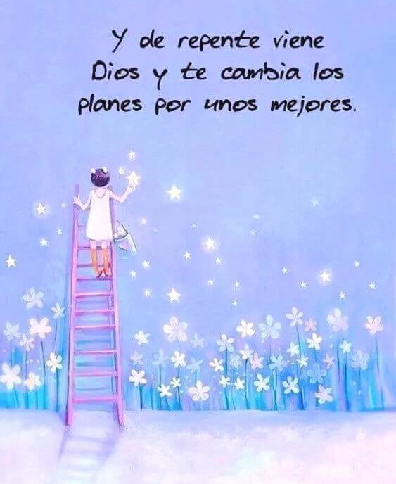 Vibra Femenina (@vibrafemenina) on Twitter photo 