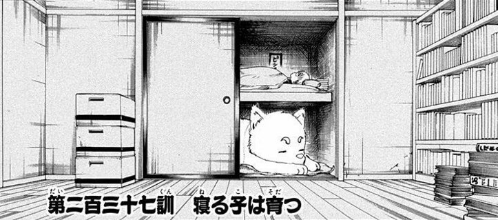 ぱっつぁん オルタ 神楽が押入れで寝るのは原作設定なのです この回も最初は押入れで寝てて 眠れなくて銀さんの所へやって来るところから物語が始まります 銀さんと神楽のやりとりは萌えること間違いなしなので楽しみです T Co O766hofhbt ぱっつぁん オルタ 神楽が押入れで寝るのは原作設定なのです この回も最初は押入れで寝てて 眠れなくて銀さんの所へやって来るところから物語が始まります 銀さんと神楽のやりとりは萌えること間違いなしなので楽しみです T Co O766hofhbt