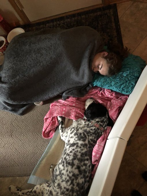 View image on Twitter