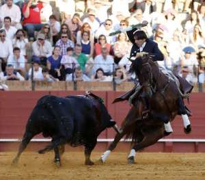 rafaelelpipo's tweet photo. Diego Ventura pasará a la historia del toreo por dar espuela a una figura de época cogiendo su trono,por poner un rejón a Matilla,otro a Chopera con las plazas del norte y poner un par a dos manos a Ramón Valencia un mismo día y a la misma hora.

REBELDÍA DE FIGURÓN DEL TOREO... https://t.co/APzLl3pqQC