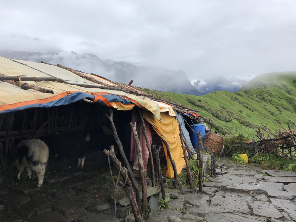 #nepal #smallholderfarmer #Himalayas Yak milk and cheese farmer survives in this terrain, sleeps in this hut, lives off his own produce and rice from village below via 7 hour challenging trek. You think your job is hard?