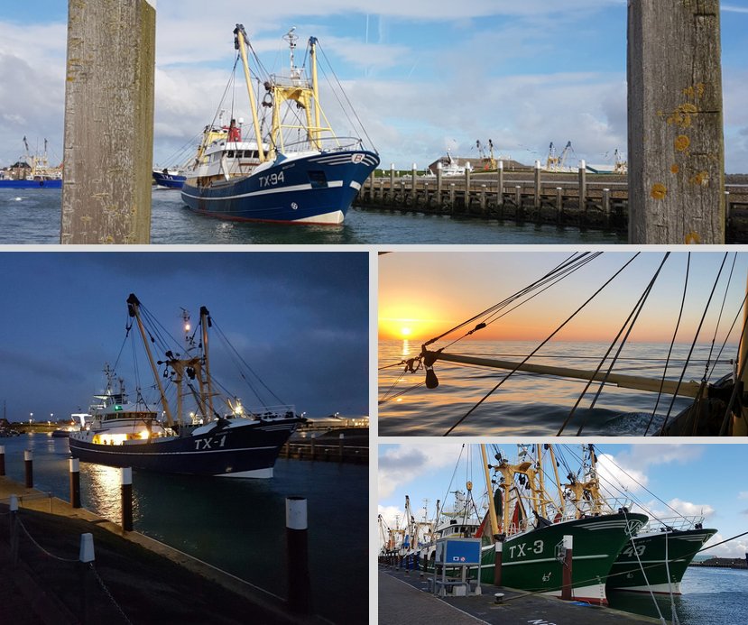 VVVTexel's tweet photo. #Zondagavondtip: zwaai de stoere #zeebonken uit die naar #zee vertrekken! Tussen 21.00 uur en 24.00 uur vertrekken de kotters voor een nieuwe #visweek vanuit de haven van #Oudeschild. Tot vanavond! https://t.co/08qnVpiGdv https://t.co/D80gOJy38y