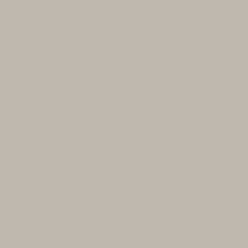 Every Pantone Color On Twitter Warm Gray 3 C Rgb Every Pantone Color