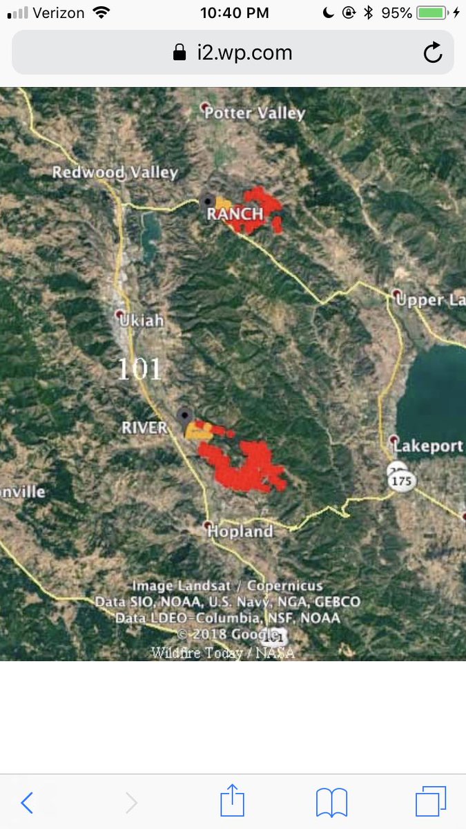 Dr. Jennifer Pett-Ridge tweet media