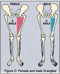 西端 優輝 女性に膝の怪我が多い理由 男性と女性の骨盤の幅の違いが 膝のケガのに繋がっている そのため 女性がジャンプする場合 膝が中に入りやすく 前十字靭帯を断裂する可能性は男性の7倍だ しかしトレーニングで予防し怪我を減らすことが
