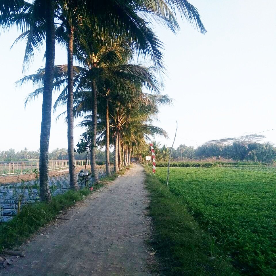 Dokfoto On Twitter Dokumentasi Foto Kawasan