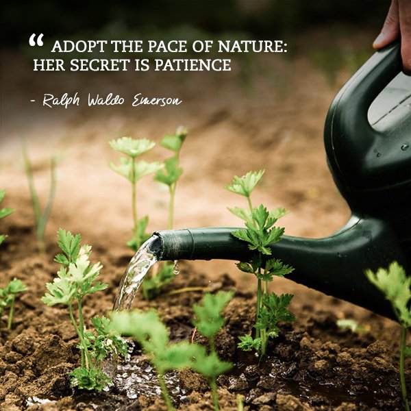 Life is a Garden tweet media