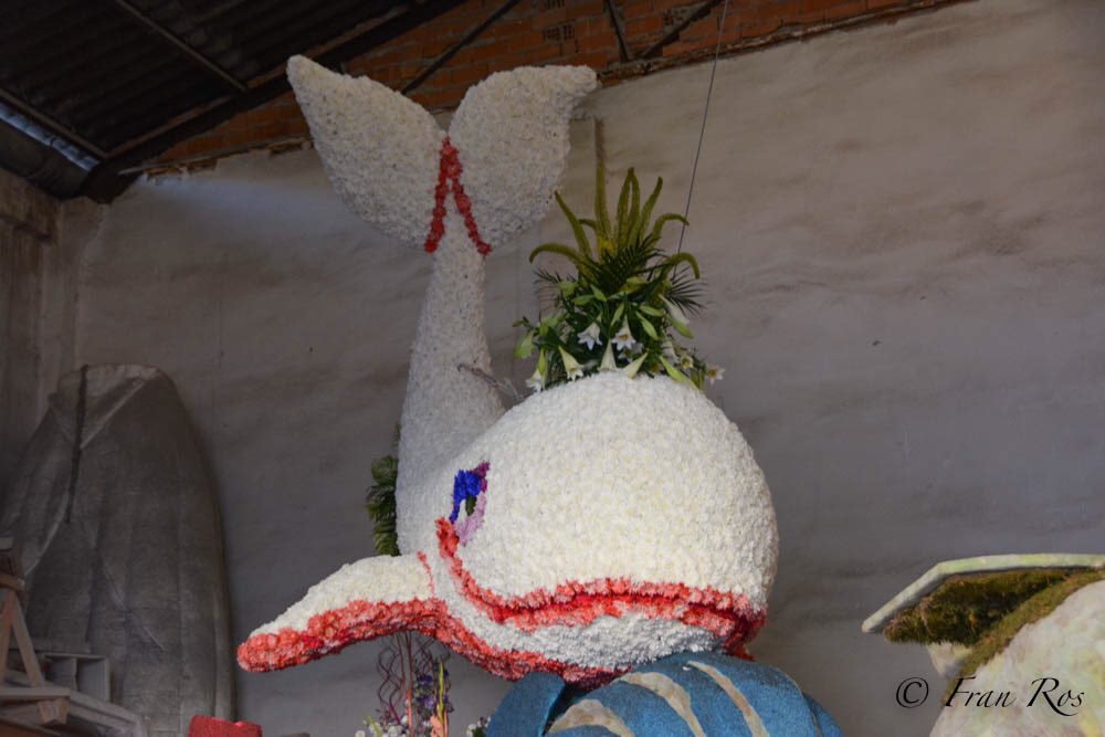 Foc&Falles tweet media