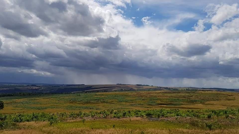 GRSY14's tweet photo. Yesterday was the best!

It was cloudy, breezy and dry (for the early part of the day anyway!). We got all the dogs out for lovely walks and they loved every second! Fingers crossed the cooler weather stays put for a little while. https://t.co/27JhgujYtA