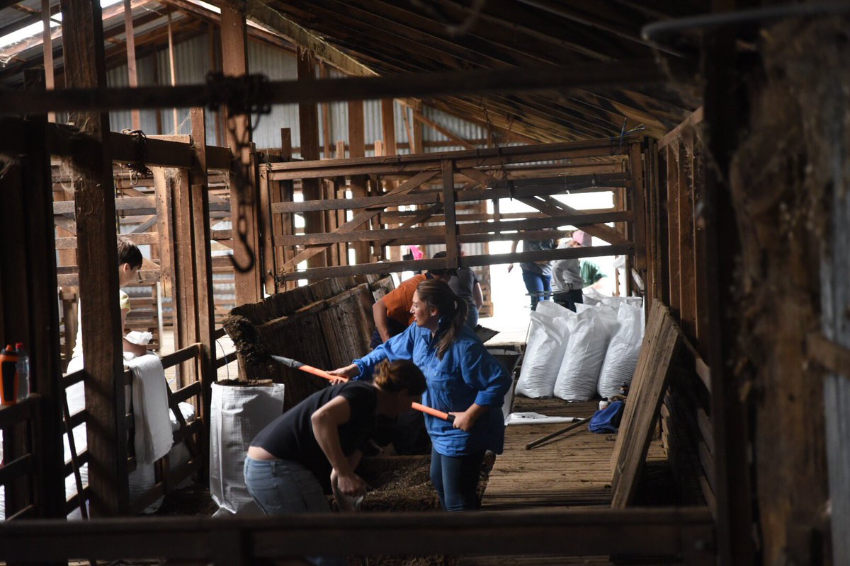 The annual Gunning Gold fundraiser has been going for 20+ years and raises $10k+ every year. A wonderful initiative of the P&amp;C that has benefited the staff and students of Gunning Public School #hardworkbutworthit #greatschool #pandc #nsweducation <a href="/dizdarm/">Murat Dizdar</a> <a href="/mscott/">Mark Scott</a> <a href="/NSWEducation/">NSW Dept of Education</a>