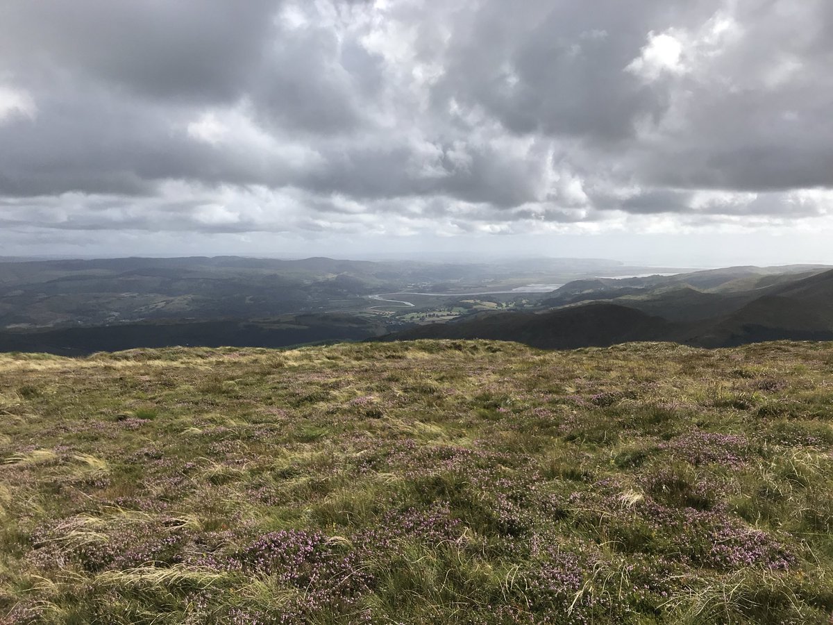 rachelatherton's tweet photo. Took to the wilds on my feet yesterday - just the wind in your face, swim in the lake, &amp; a good hike can sort you right out. Outside is real &amp; feeds our souls 💖🌳🌞 https://t.co/BN4SzLpdTH