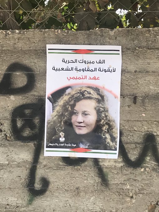 View image on Twitter