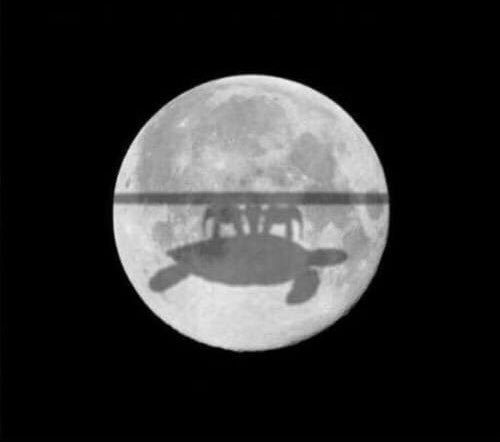 andrewgmorton's tweet image. Got a great photo of the eclipse the other night.