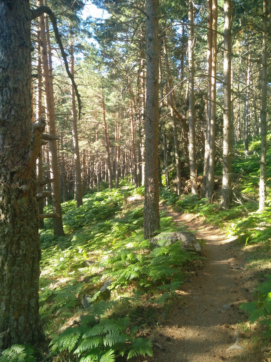 Aún quedan lugares donde puedes darte una buena caminata y escaparte del calor 🏞🌞