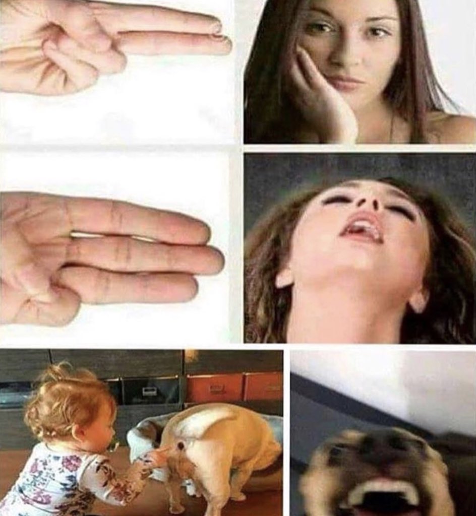 X 上的Adrian Dionisio：「#meme #funnymemes #edgyMemes #edgy #hotgirl #fingering  #dogs #butt #memelord t.cof4oO1iMUsp」  X