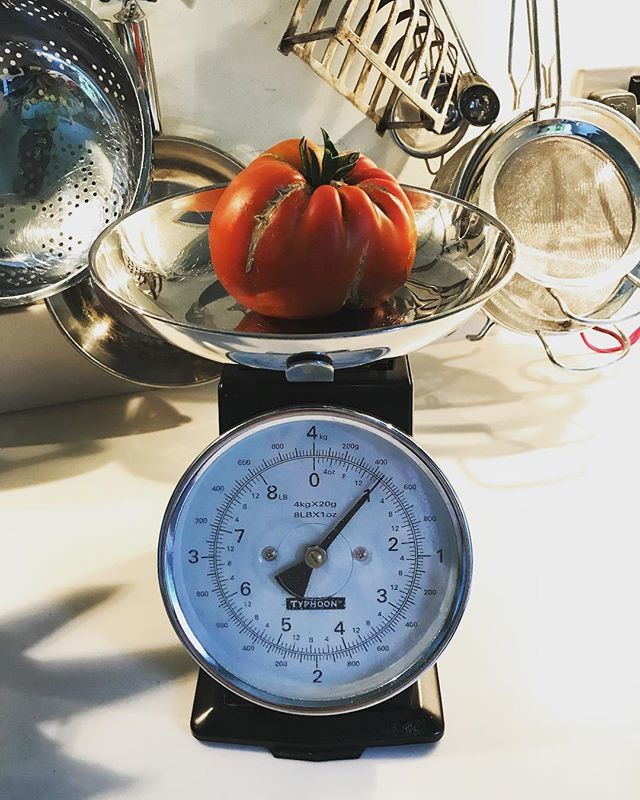 A pound of tomato! 🍅 Not sure it would make it into the wonky veg section but very proud of this new addition to my family #tomato #homegrown #mygarden #mygreenhouse ift.tt/2OuA6TE