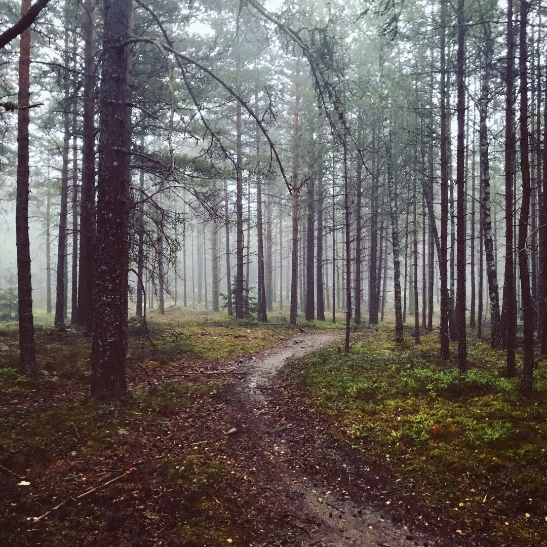 glen_gabriel's tweet photo. Anyone knows if it’s dangerous to run through a thunder/lightning rain storm with bluetooth earbuds and phone? 😬⛈ #awesome #workout #rain #thunder #lightning #storm #run #selfie #forest #nature #vegan #beard #selfie #airpods #iphone #apple #stopreadingmyhashtags https://t.co/ZPWkKssfLI
