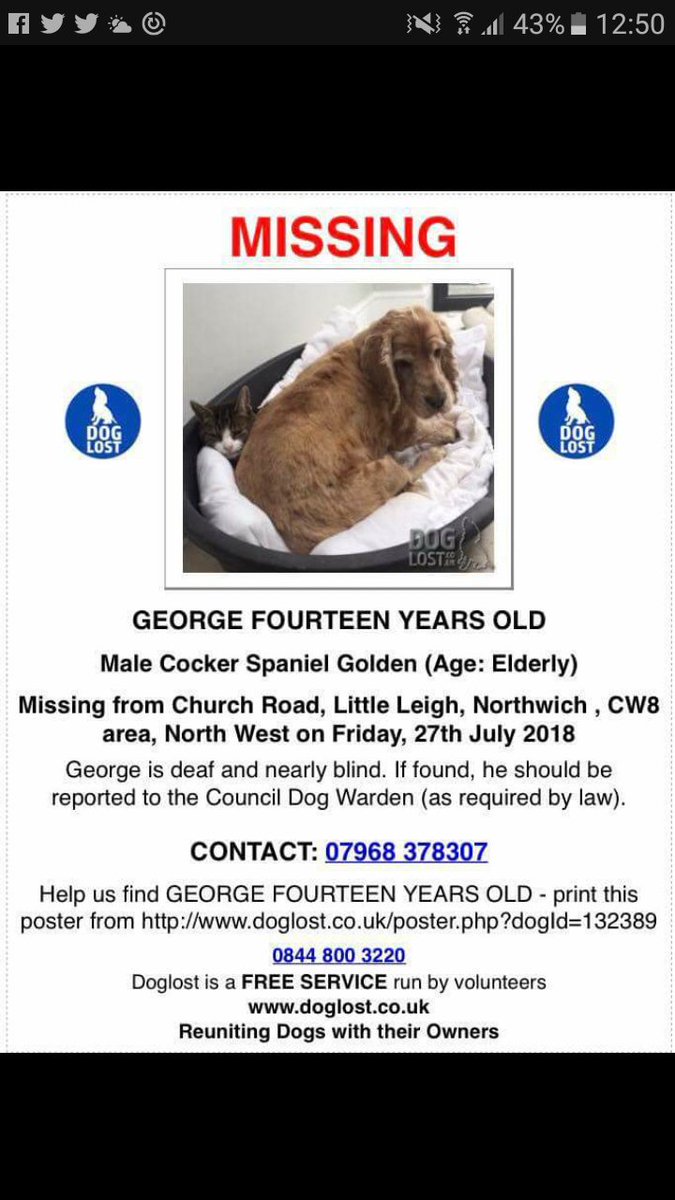 <a href="/leanne_e_brown/">.</a> please share  #Urgent #lostdog elderly needs finding asap #Northwich #Cheshire 

doglost.co.uk/dog-blog.php?d…
