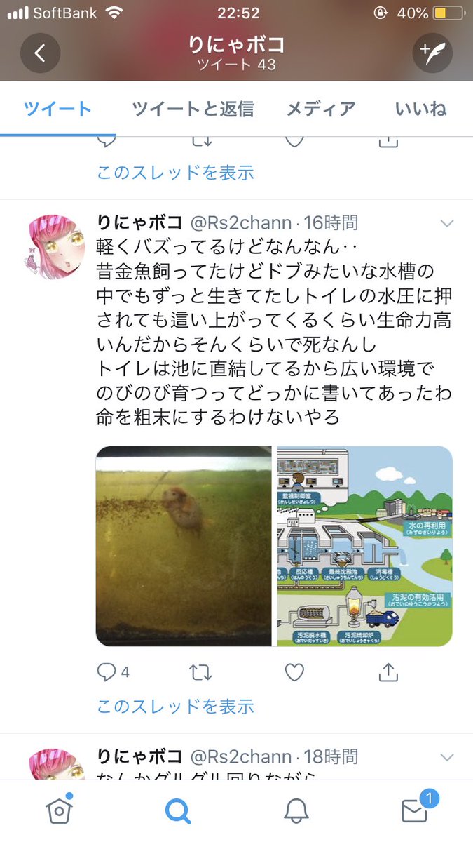 Riho アニマルライツ さんのツイート 金魚すくいをした挙句 その金魚をトイレに流し それをわざわざツイートし 炎上している りにゃボコ どうにかなりません りにゃボコ 動物虐待 金魚 犬 恐らく本人の別アカ