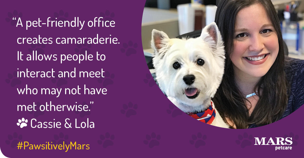 MarsPetcareUS's tweet photo. Why do #PetsWorkAtWork? "If you're ever having a stressful day, in a pet-friendly office you can always find a pup to play with to cheer you up," says our Associate Cassie. #PawsitivelyMars Go pet friendly in your workplace: https://t.co/LH2ckcrzhJ https://t.co/udtuxZpaw5