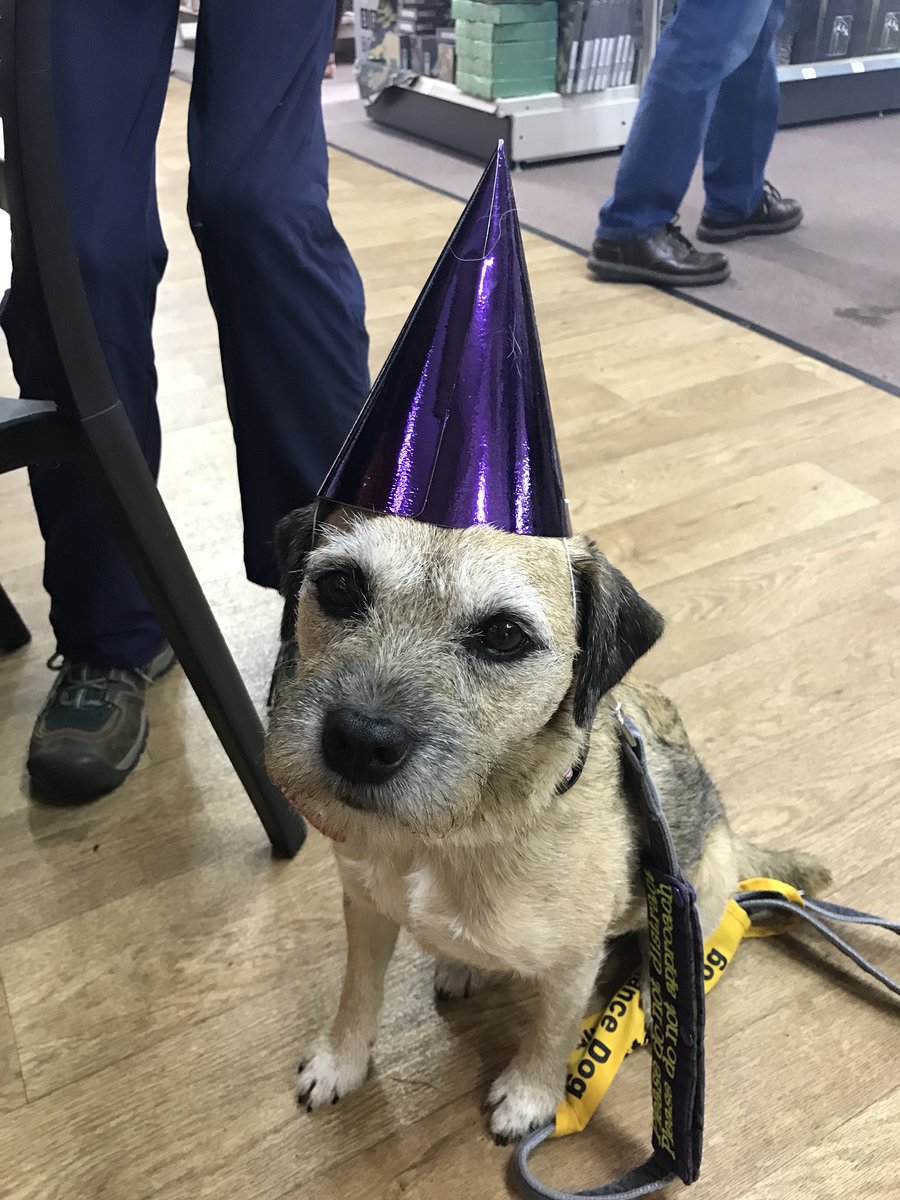 WhatWeCallTilly's tweet photo. Thanks to @SassVH for the cake at jack’s birthday party 🐾....couldn’t get hat-photos of Reggie or @Bustervision as Reggie ate them before both the camera was ready!! https://t.co/gaZF9XNCUa