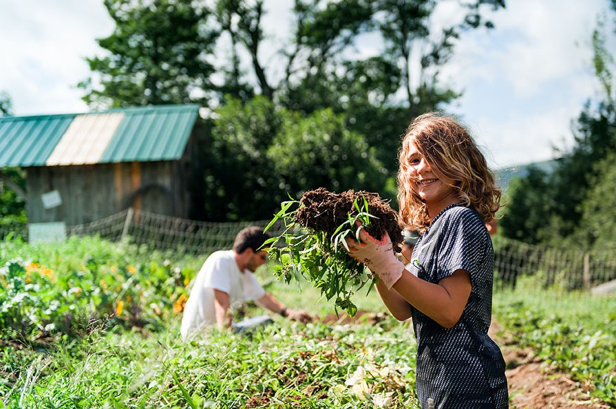 FarmWilderness's tweet photo. Just a regular morning at Timberlake - weeding the garden and serving the community. #farmandwilderness #VT #Vermont #802 #farmersintraining #farmon https://t.co/i51L89tYsl