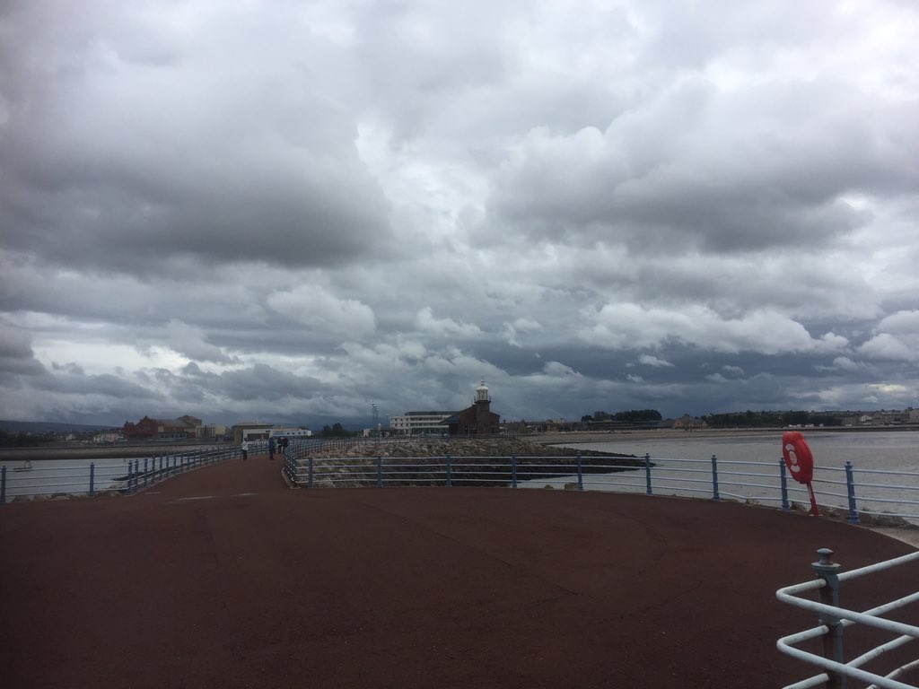 Ian Seed tweet media