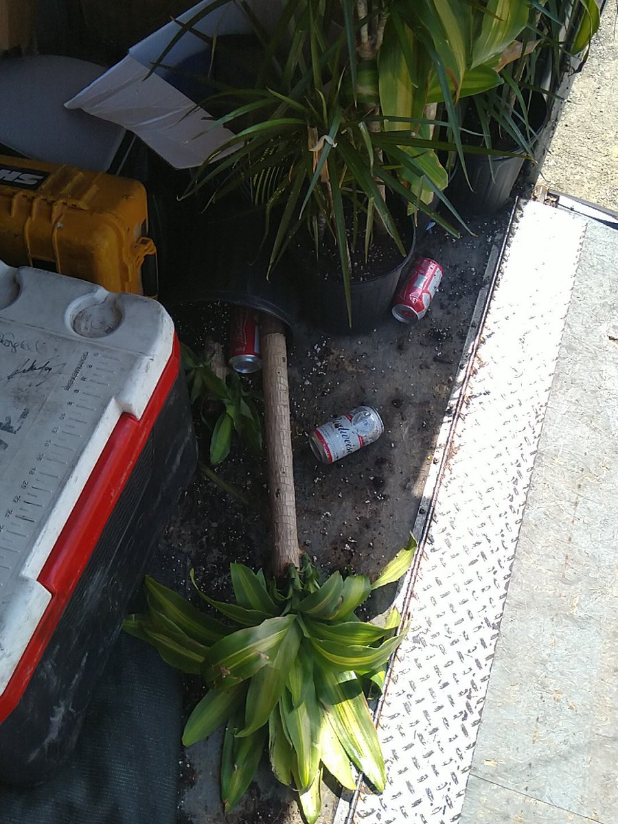 Lord Kebbabreth tweet media