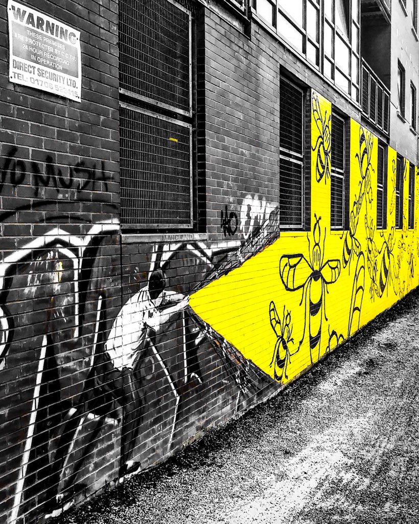 MANC_LAND's tweet photo. Wonder(ful)Wall 👌🏾🐝...... https://t.co/P3Ru5mBkZ7