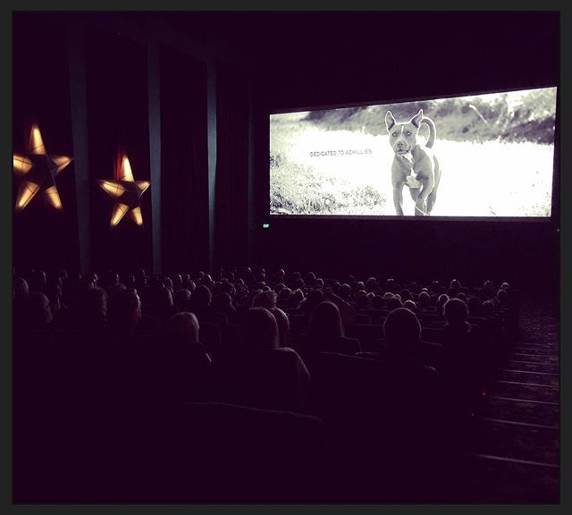 There was no Q&amp;A at the final SOLD OUT Auckland screening today, but I snuck in up the back to watch the last 15mins of the film. The 300+ audience stayed in their seats right till the end of the credits and this final image. In this moment I realised I … ift.tt/2v0Qdjs