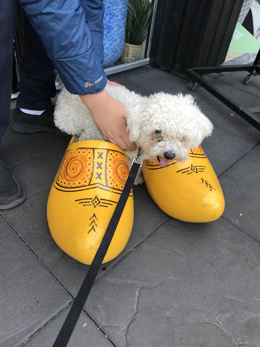 Bill Dale tweet media