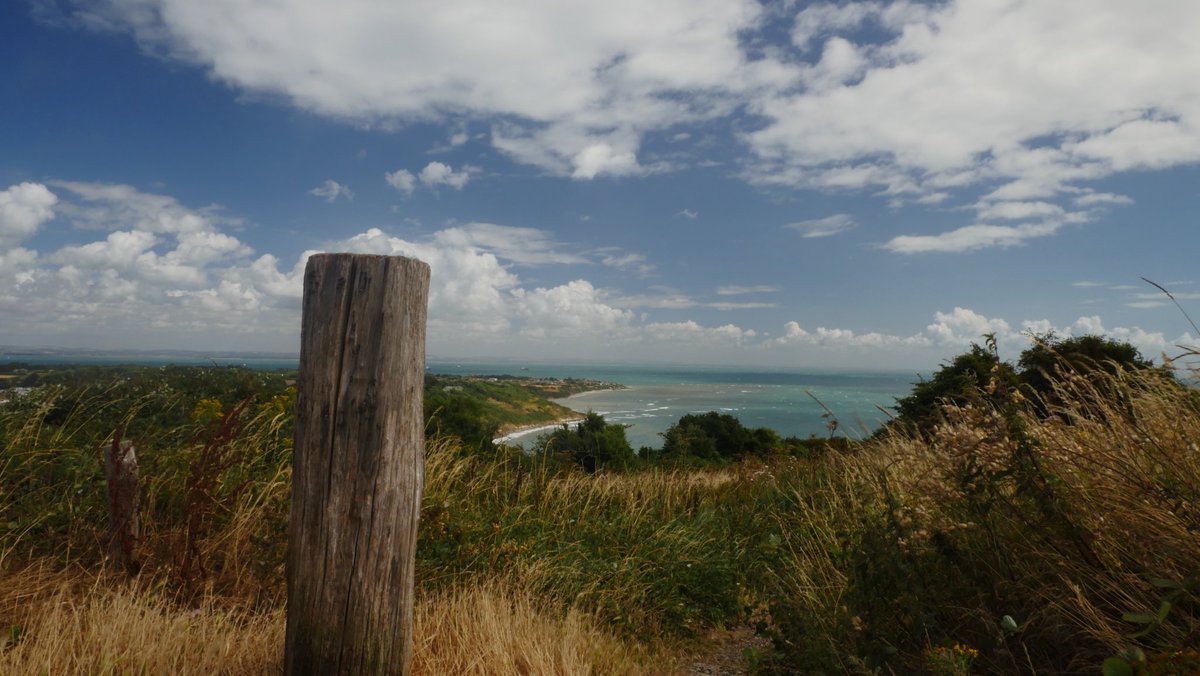 HomeEdHarry's tweet image. #isleofwightheaven