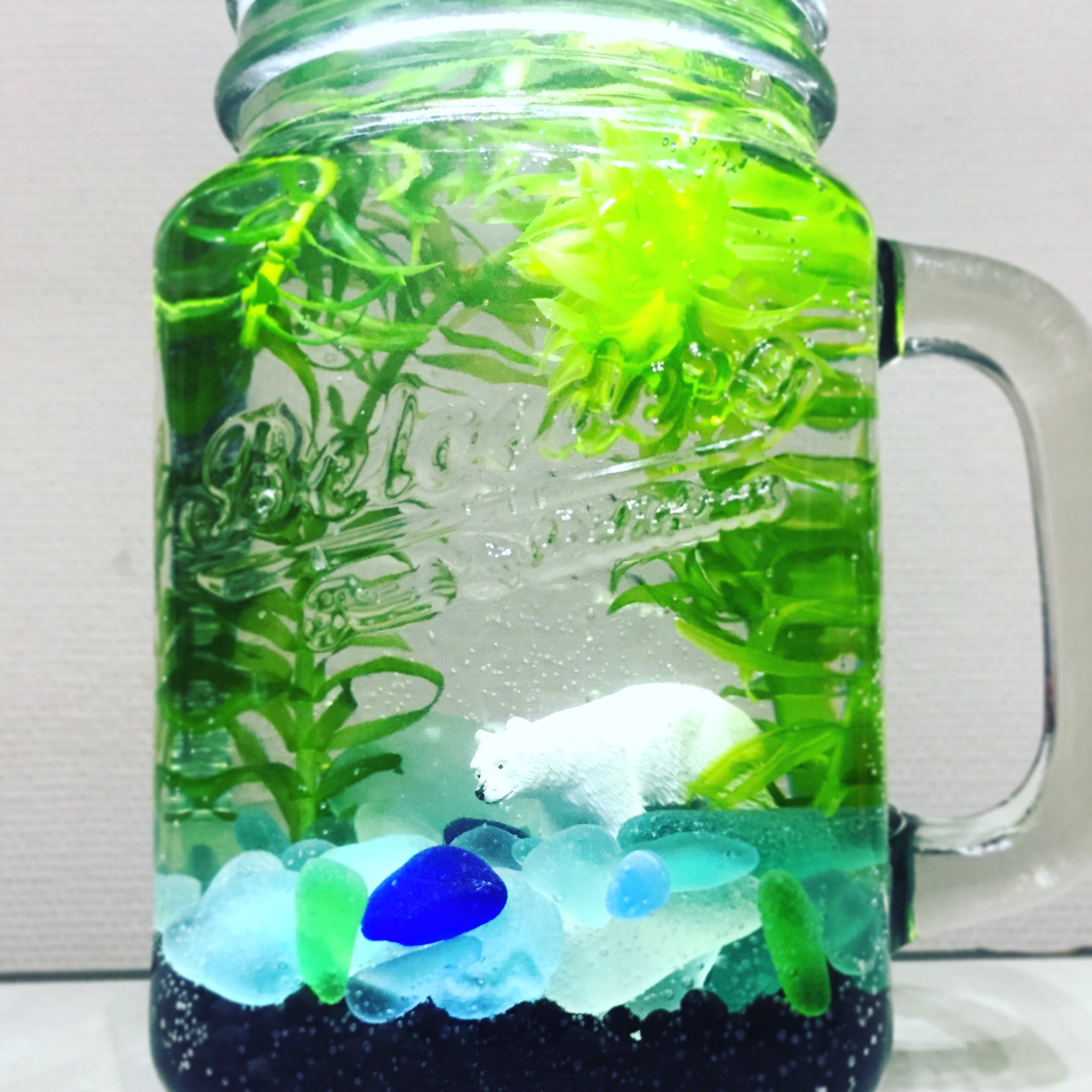 Lealea Twitterissa メダカも少しずつ増えてきたので ボトリウムというものに初挑戦 ビーチコーミングで拾ったシーグラスを追加して 見よう見まねで作ってみた さて どのメダカに住んでもらおうかな ボトリウム Bottlium 初挑戦 シーグラス Lealea Twitterissa メダカも少しずつ増えてきたので ボトリウムというものに初挑戦 ビーチコーミングで拾ったシーグラスを追加して 見よう見まねで作ってみた さて どのメダカに住んでもらおうかな ボトリウム Bottlium 初挑戦 シーグラス