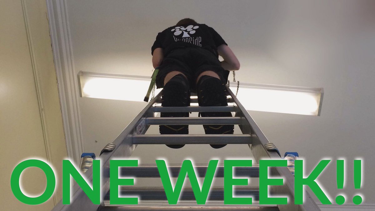 GreensideBars's tweet photo. The venues are up, I’m assured that the techies will come down at some point [though they are partial to a decent rafter], the staff &amp;supervisors are having a VERY well deserved sit down +one thing we all have in common is that we can’t wait to open our doors to you THIS WEEK😱🤩 https://t.co/Ttwr70PlFa