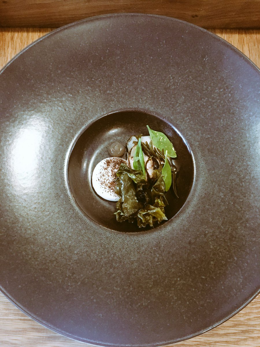 Nicky_CCleary's tweet photo. Stunning food, excellent wine pairing and superb service - @AniarGalway really creates the perfect dining experience 👏🏻👏🏻👏🏻 thank you for the hospitality and lovely to meet you @mistereatgalway #aniar #michelin #galway https://t.co/S6NBICisod