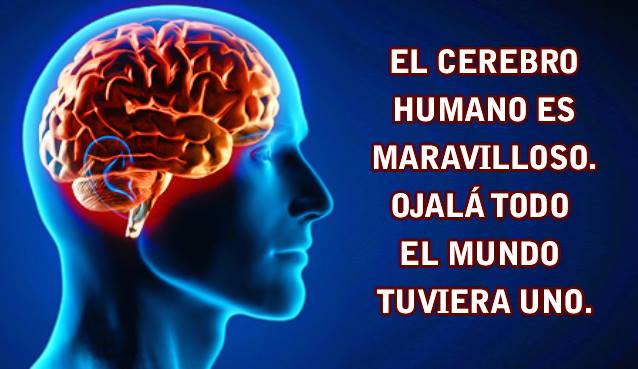 Brochazos's tweet photo. Sería maravilloso. https://t.co/dJYkeHtsrp