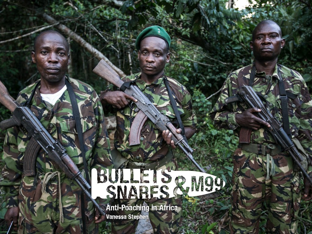 Vanessa Stephen tweet media