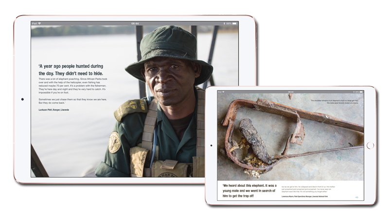 Vanessa Stephen tweet media