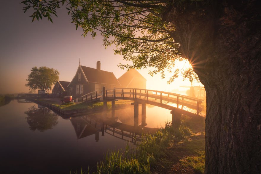 Dutch windmills in the fog by Albert Dros czed.eu/g7ke #photography