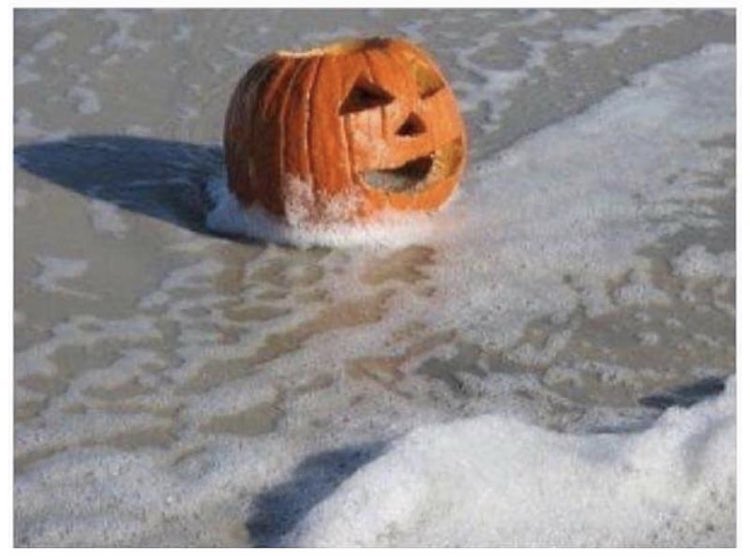 ShopMoonchildUK's tweet photo. when it’s July but all you can think about is Halloween https://t.co/crilUUFvZb