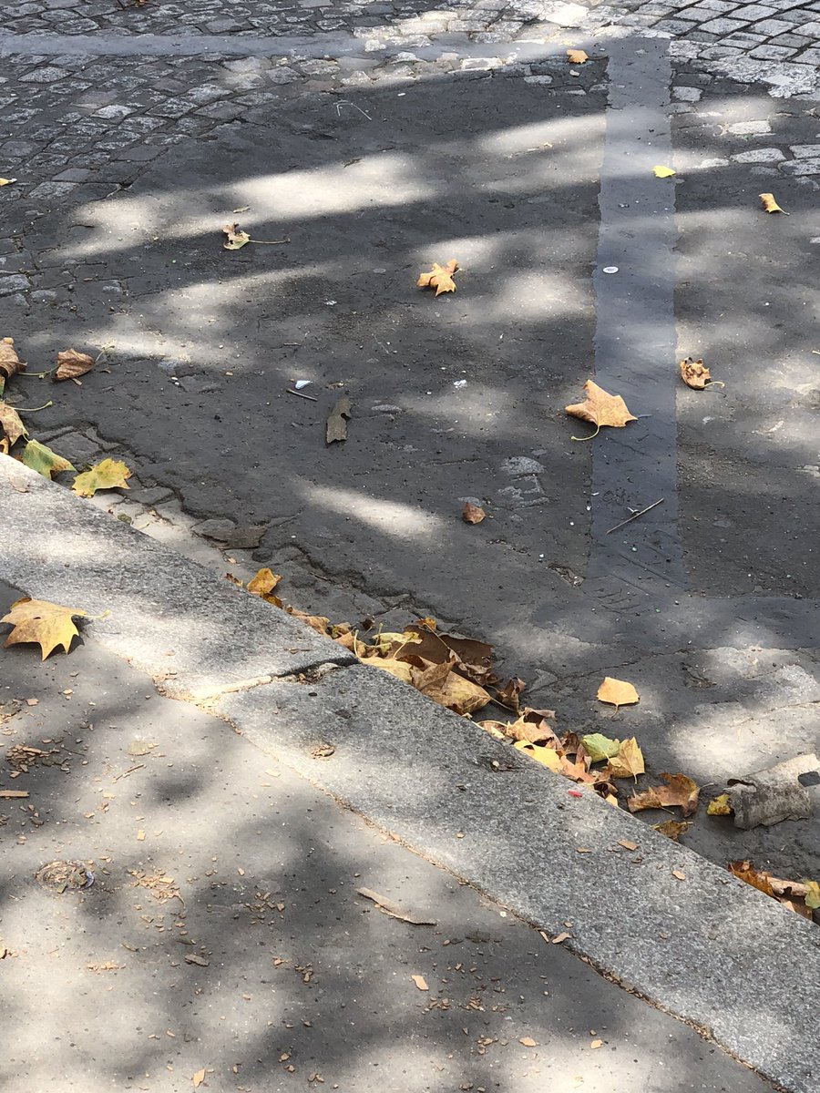 StavD79's tweet photo. @TeamSky Looking forward to welcoming Super G onto the Champs Elysees. However, ride with caution, there’s plenty of broken glass, big and small, in the gutters. https://t.co/YdtEl8wXly